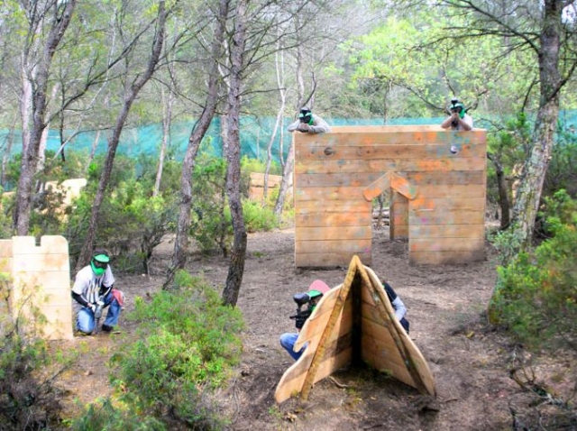  El campo 
